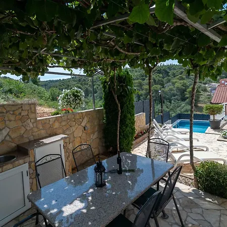 Kapetan טרוגיר